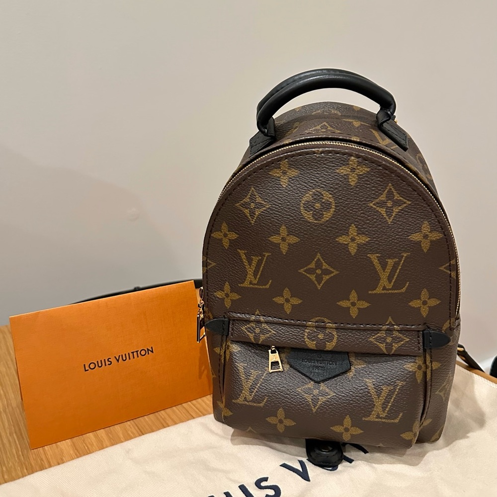 LV Palm Spring Mini Backpack | Excellent Condition